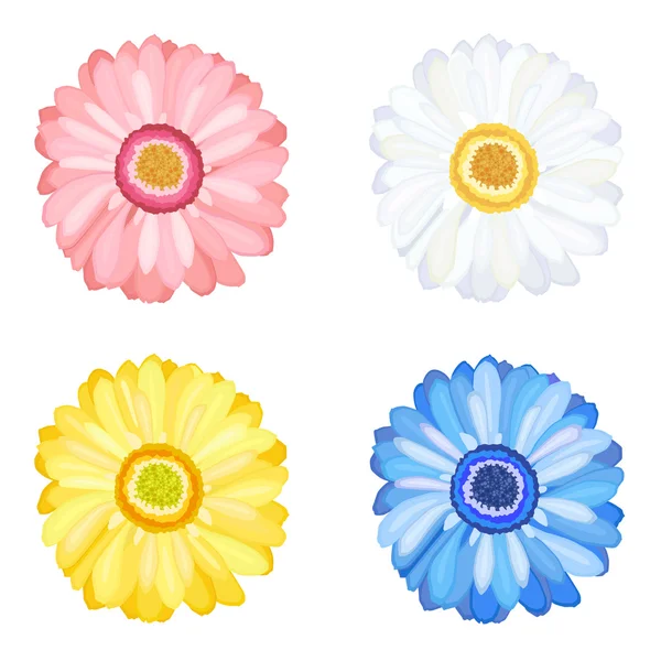 Daisy Gerbera Flowers — Stock Vector