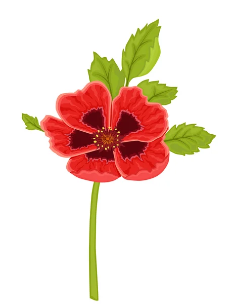 stock vector Red poppy flower