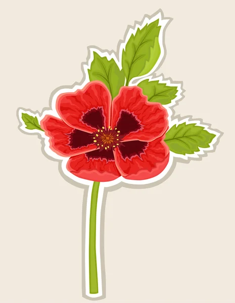 Poppy flower card — Stock Vector