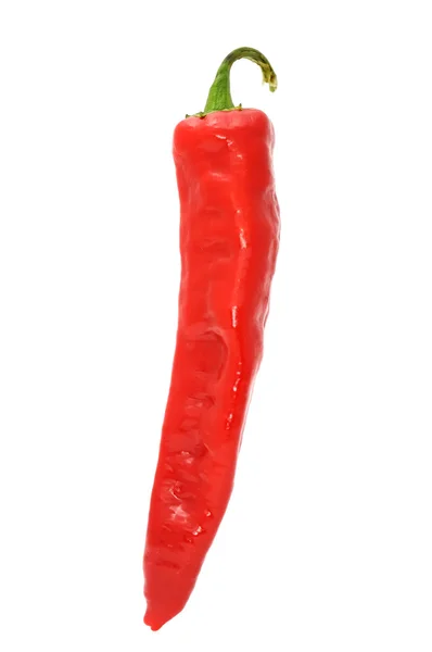 Red Hot Chili Pepper Isolated on White Background — Stock Photo, Image