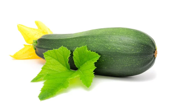 Zucchini mit grünem Blatt und Blume isoliert auf weißem Hintergrund — Stockfoto