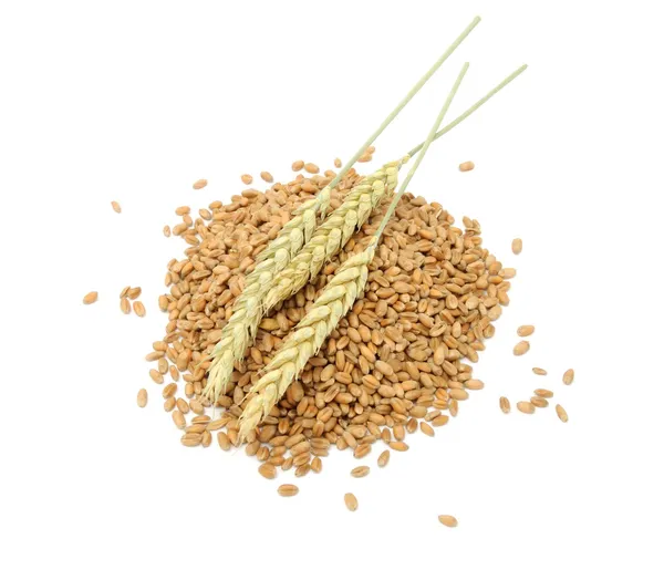 小麦籽粒和孤立在白色背景上的耳朵 — 图库照片