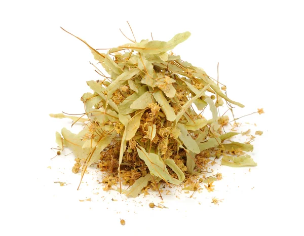 Dried Linden Flowers — Stock Photo, Image