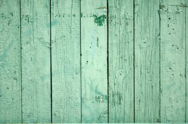 Green Wood Background clipart