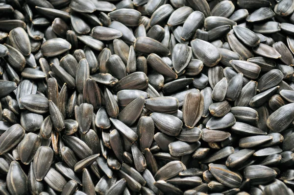 Sunflower Seeds Close-up — Stock Photo, Image