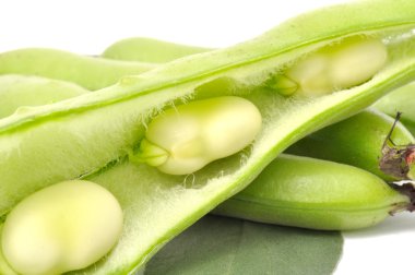 Broad Beans Close-up clipart