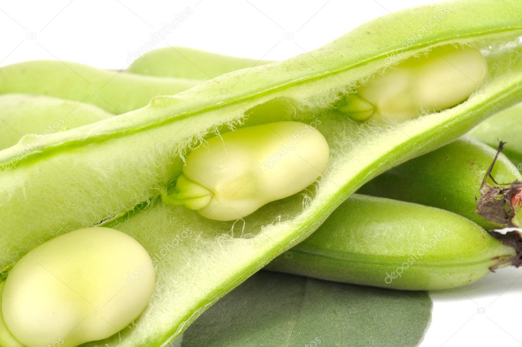 Broad Beans Close-up