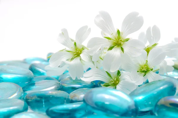 Witte bloemen op blauw glas stenen — Stockfoto