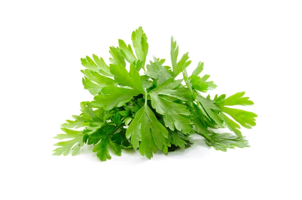 Fresh Green Parsley — Stock Photo, Image