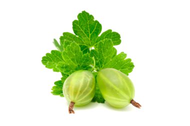 Green Gooseberries clipart