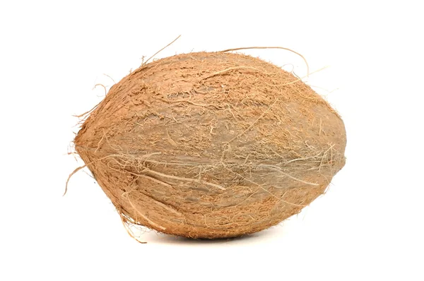 코코넛 — 스톡 사진