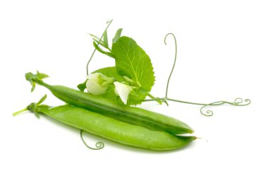 Green Peas in Pods with Leaves and Flowers clipart