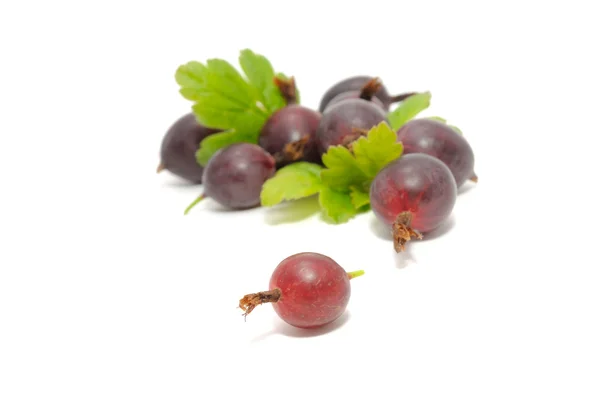 Red Gooseberries with Leaves — Stock Photo, Image