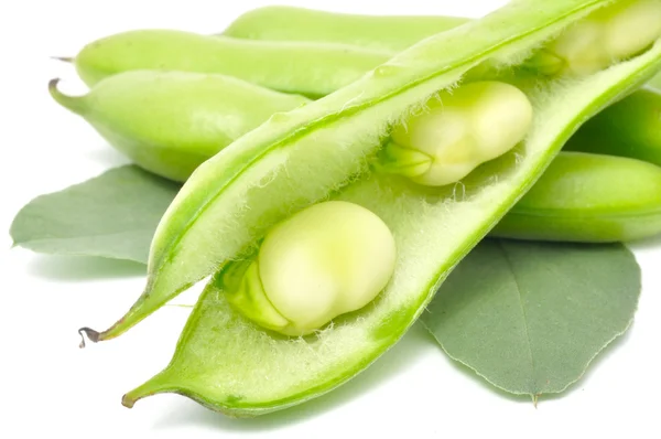 Broad Beans — Stock Photo, Image