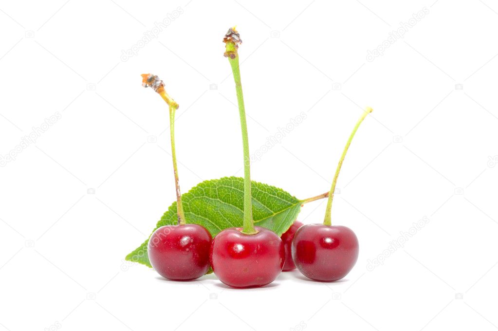 Cherries with Green Leaf