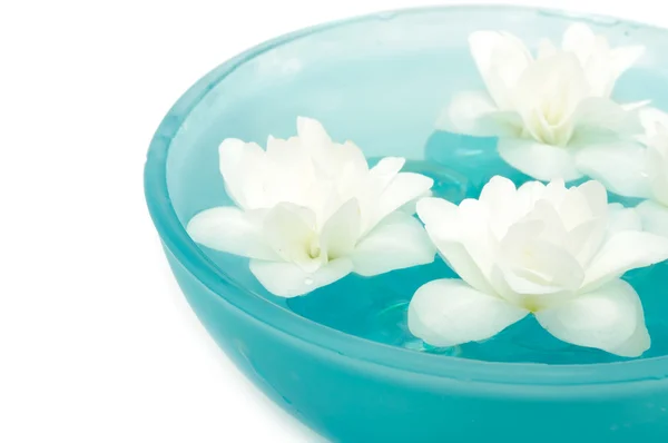 Mooie jasmijn bloemen in kom — Stockfoto