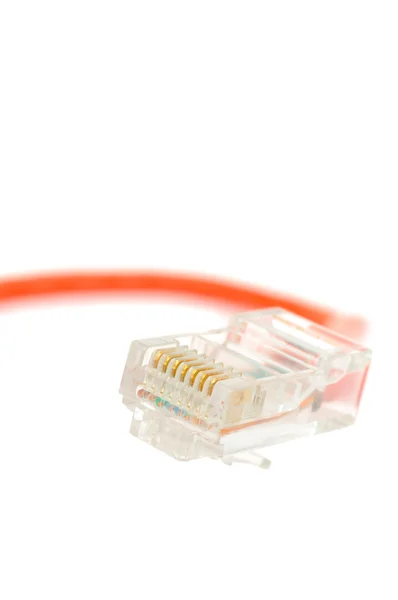 Ethernet καλώδιο σύνδεσης — Φωτογραφία Αρχείου