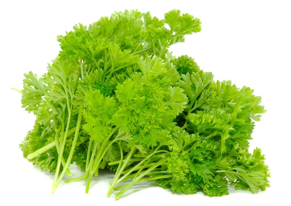 Bunch of Curly Parsley — Stock Photo, Image