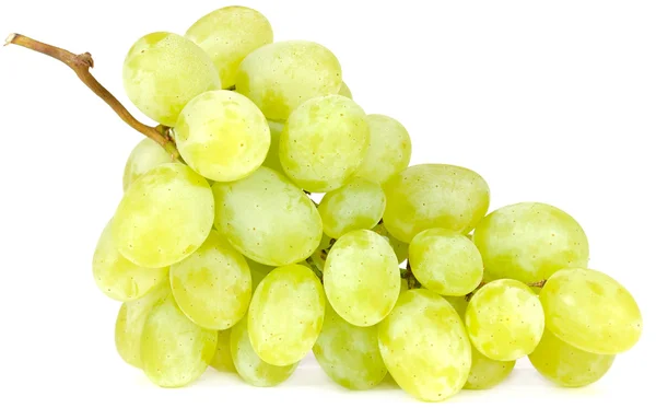 集群的白葡萄品种 — 图库照片