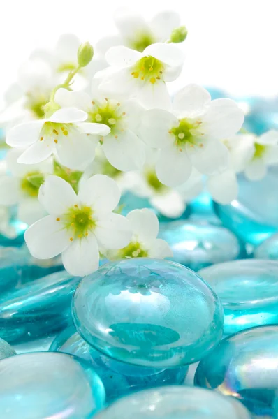 Flores blancas en piedras de vidrio azul —  Fotos de Stock