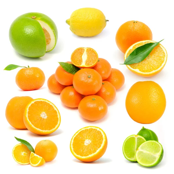 柑橘类水果设置 （葡萄柚、 柠檬、 橙、 蜜桔、 石灰) — 图库照片