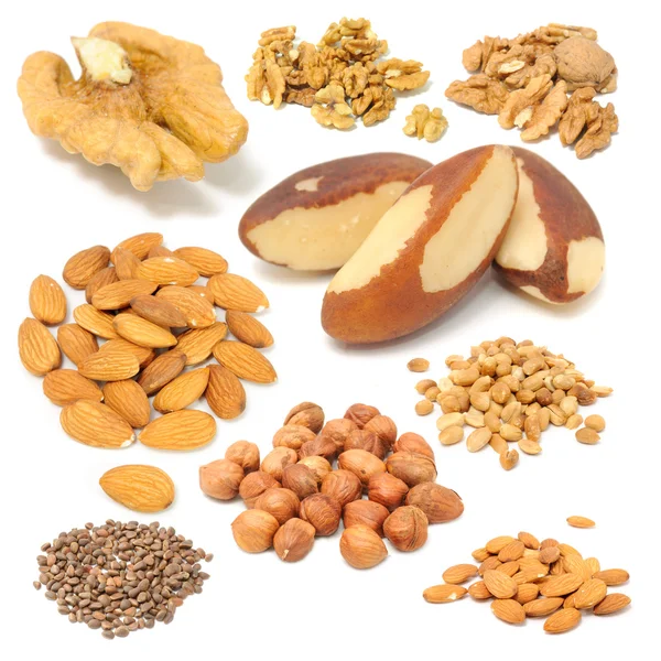 Nüsse (Walnüsse, Paranüsse, Mandeln, Erdnüsse, Haselnüsse, Pinienkerne) — Stockfoto