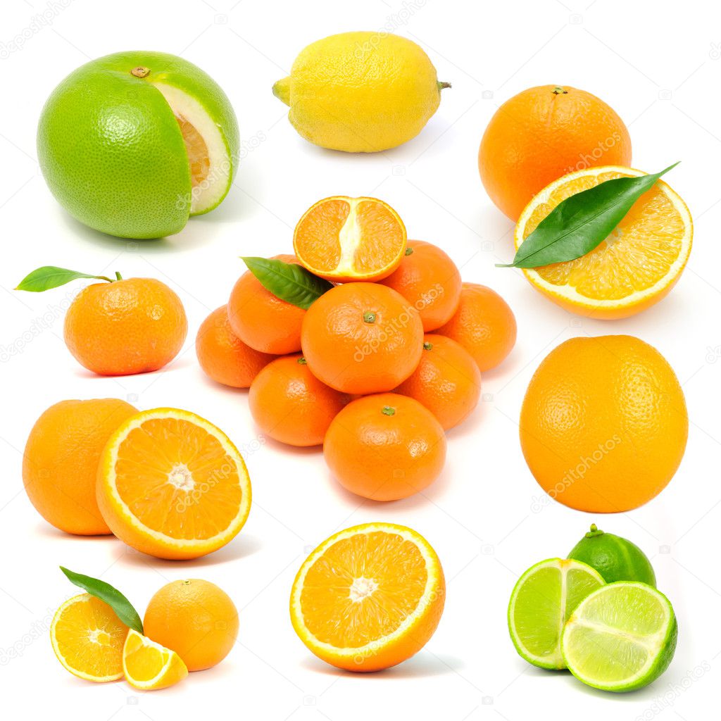 Citrus Fruit Set (Grapefruit, Lemon, Orange, Tangerine, Lime)
