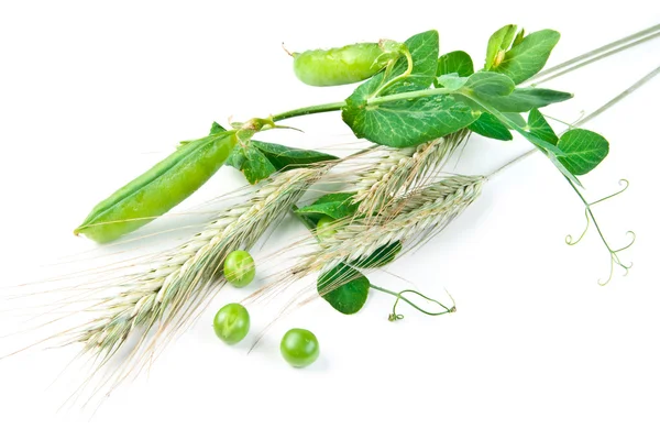 Ervilhas verdes e espigas de trigo — Fotografia de Stock