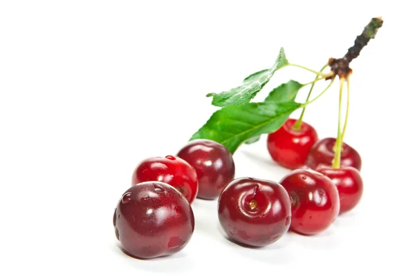 Tatlı cherrys — Stok fotoğraf