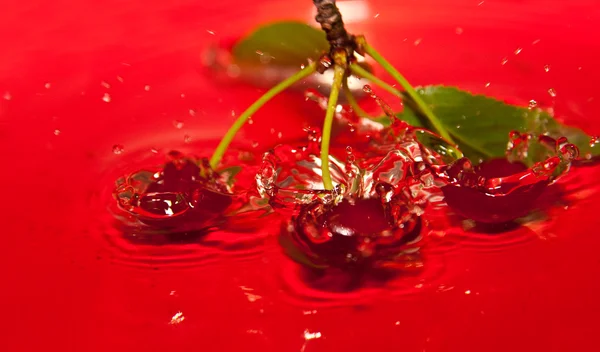 stock image Water Cherries