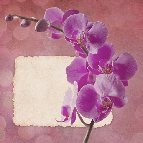 Vintage kaart met orchidee — Stockfoto