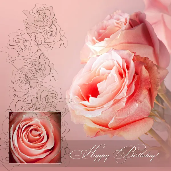 Rosa rosor kort till födelsedag — Stockfoto