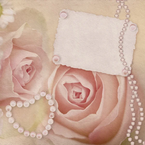 ピンクのバラのカード — ストック写真