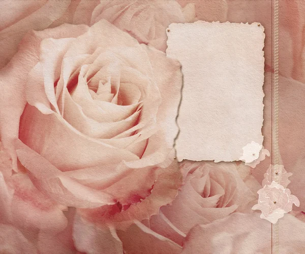 Růžové růže karta — Stock fotografie