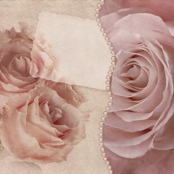 Cartão rosa rosas — Fotografia de Stock