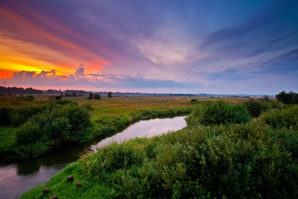 Summer evening over river — Stock Photo, Image
