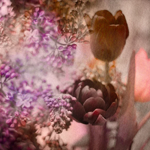 Tulpaner och lila — Stockfoto