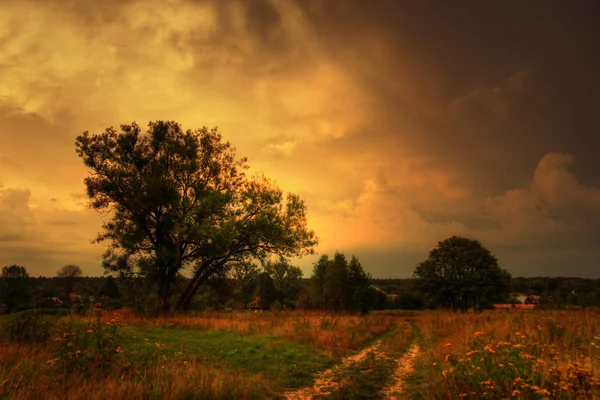 Autumn rural landscape — Stock Photo, Image