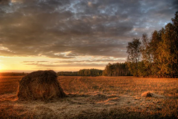 Autunno paesaggio rurale — Foto Stock
