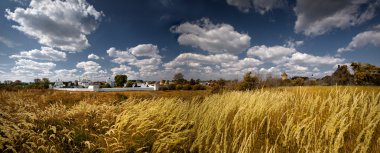 Suzdal panorama clipart