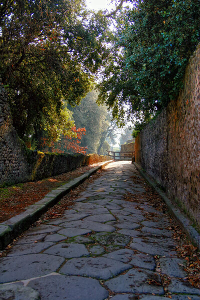 Road in the Pompeii garden. Italy