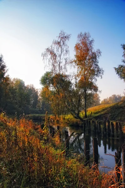 Jesień las rzeka — Zdjęcie stockowe