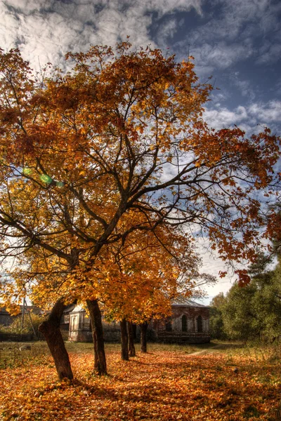 Sonniger Herbst — Stockfoto