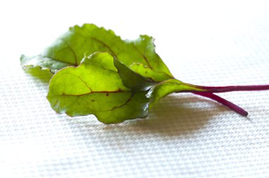 Young fresh red Swiss chard leaves clipart