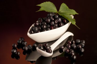 taze bilberry kaşık karanlık içinde