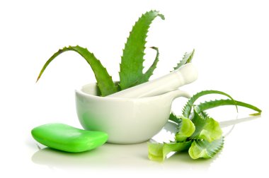 aloe vera bitkisel ilaç