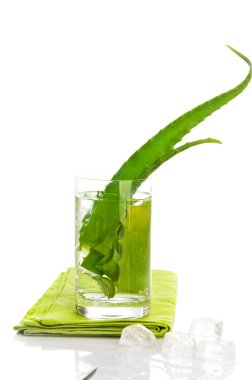 aloe vera bitkisel ilaç