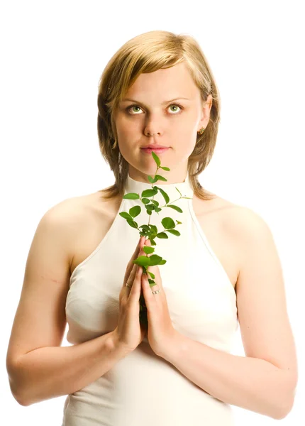 Красивая девушка с зеленым растением — стоковое фото