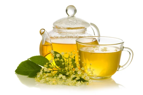 Herbal medicine, tea with elder flower — Stock Photo, Image