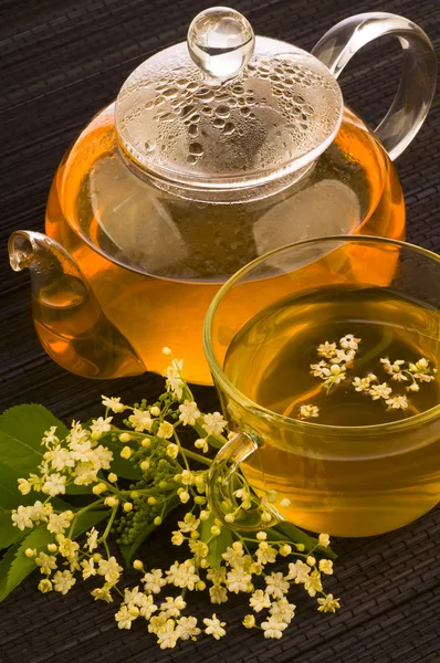 Medicina herbal, chá com flor mais velha — Fotografia de Stock